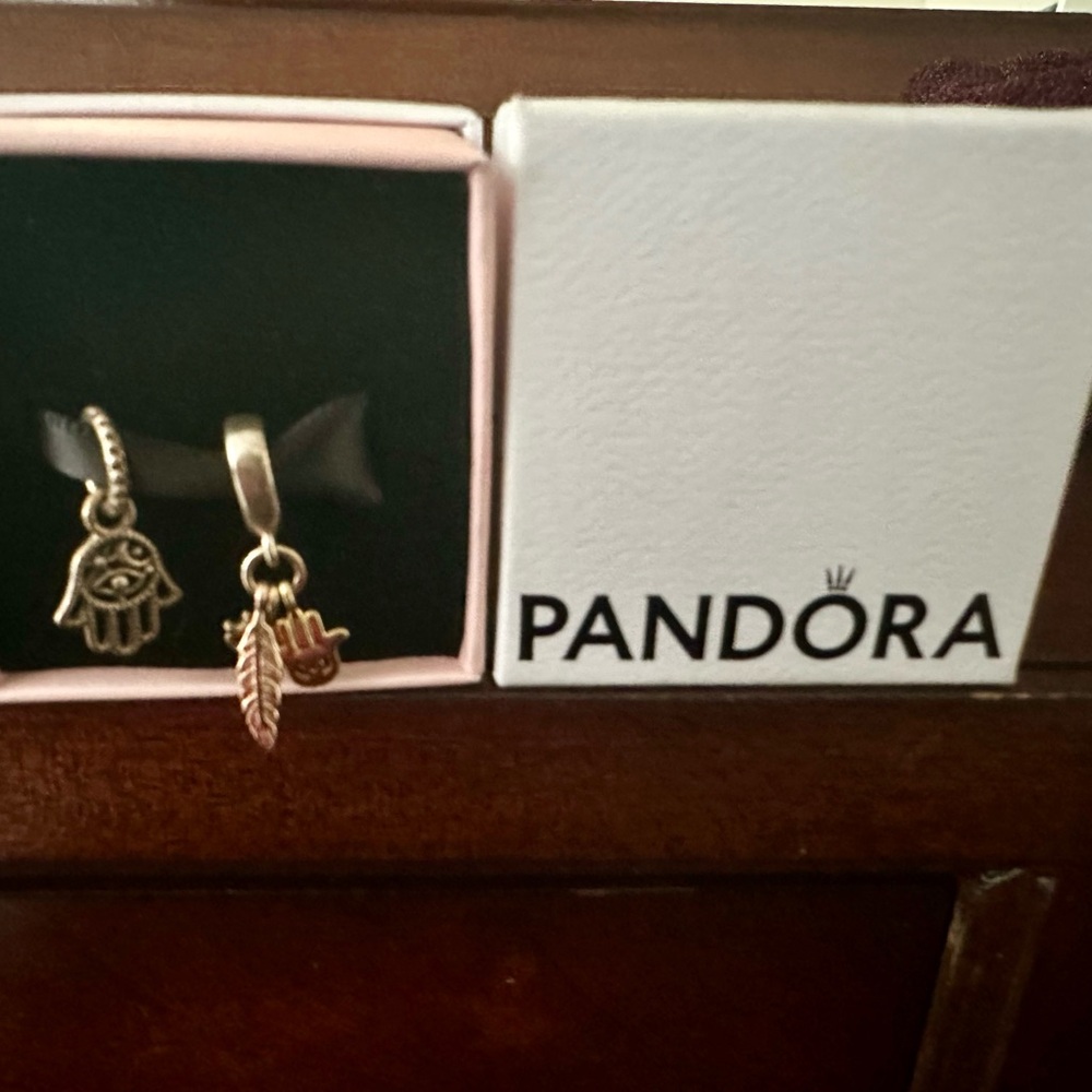 Pandora  Charms